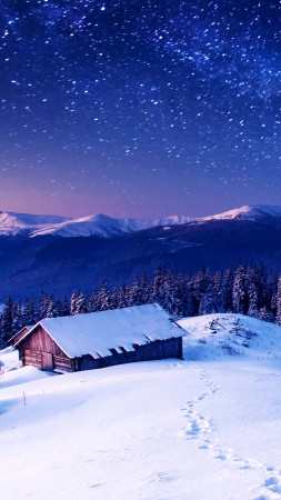 Mountains, 5k, 4k wallpaper, 8k, night, stars, trees, sky, snow (vertical)