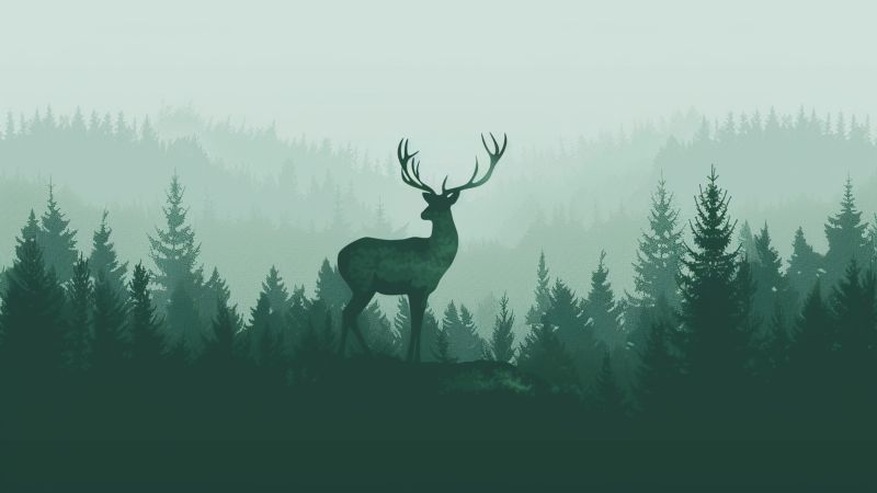 flat wallpaper, forest, nature, background for desktop wallpaper (horizontal)