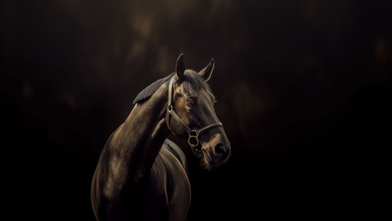 horse wallpaper, 8k resolution, majestic, background for desktop wallpaper (horizontal)