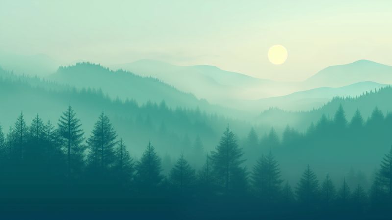 forest wallpaper, mountainous terrain, foggy landscape, background for desktop wallpaper (horizontal)
