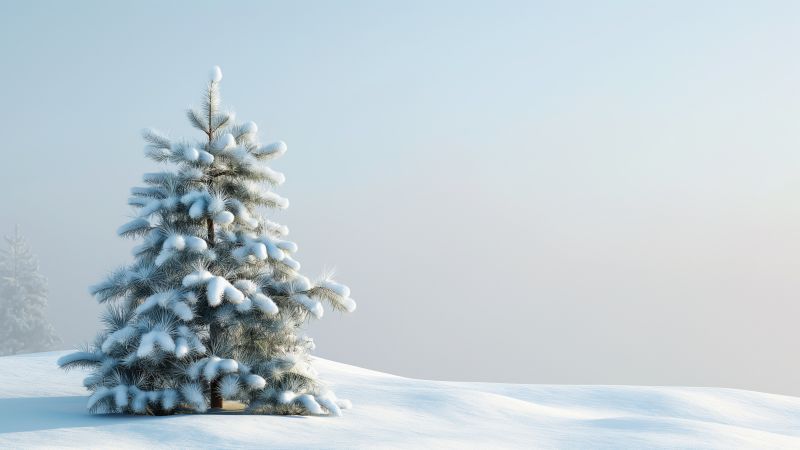 Snow wallpaper, Winter wonderland, High definition, background for desktop wallpaper (horizontal)