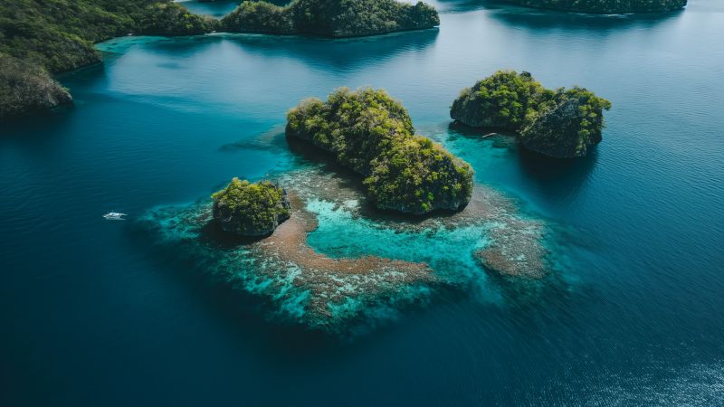 Palau wallpaper, ocean view, marine life, background for desktop wallpaper (horizontal)