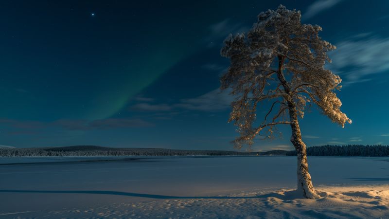 Lapland wallpaper, winter, Finland, background for desktop wallpaper (horizontal)