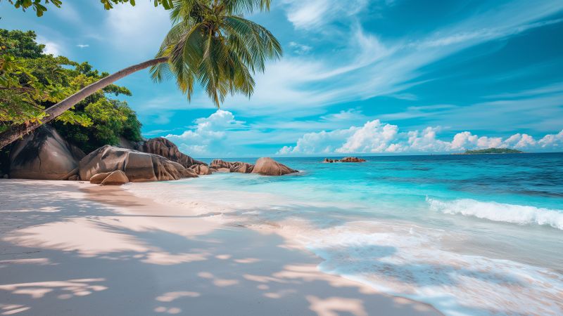 Maldives wallpaper, beach, tropical, background for desktop wallpaper (horizontal)