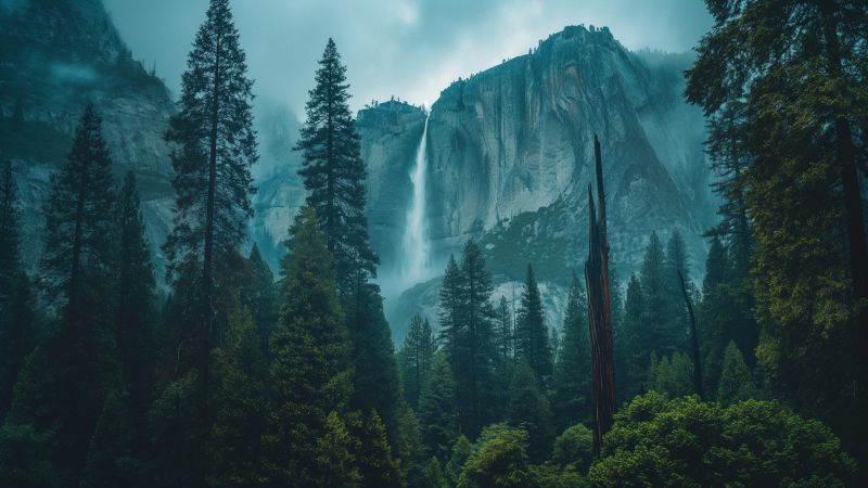 Yosemite wallpaper, nature, forest, background for desktop wallpaper (horizontal)