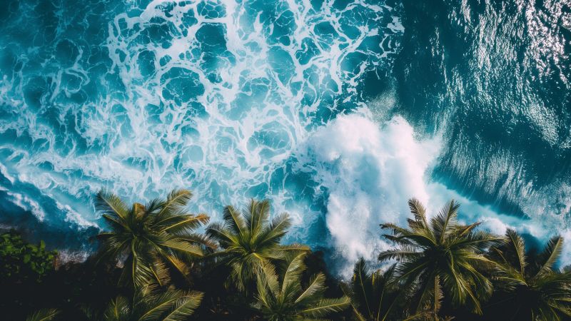 ocean wallpaper, tropical, coastline, background for desktop wallpaper (horizontal)