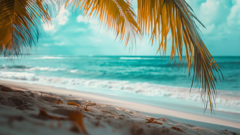 Turquoise wallpaper, tropical, vibrant, background for desktop wallpaper (horizontal)