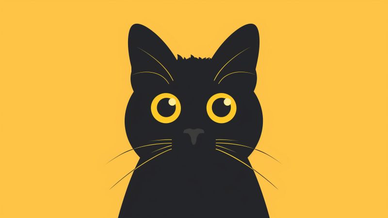 cat wallpaper, black cat, dark fur, background for desktop wallpaper (horizontal)