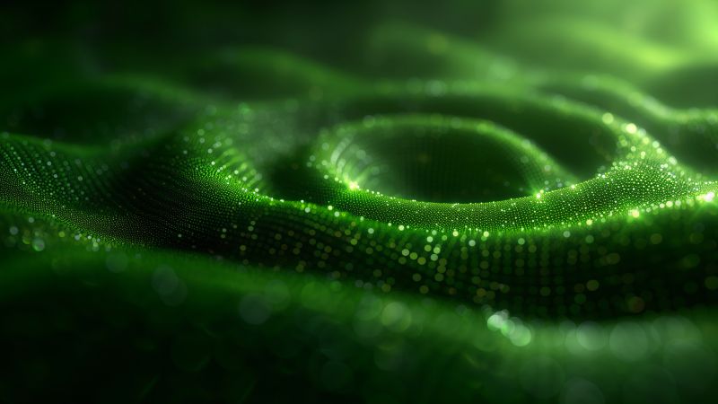 sand wallpaper, beach, flora, background for desktop wallpaper (horizontal)