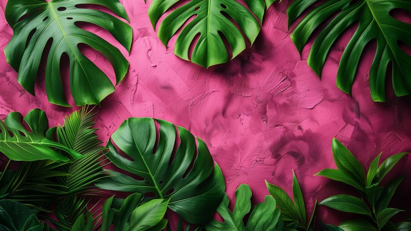 fern wallpaper, blush pink, tropical plant, background for desktop wallpaper (horizontal)