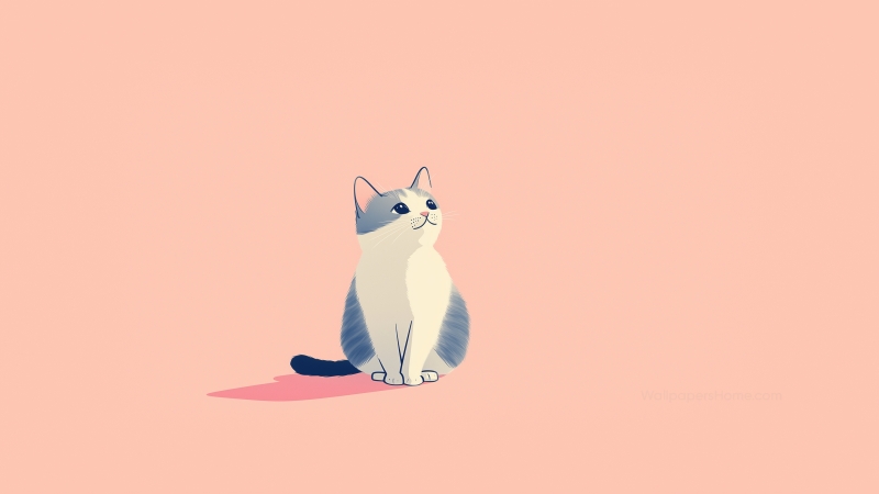 kitten wallpaper, sweet, solid color background, background for desktop wallpaper (horizontal)