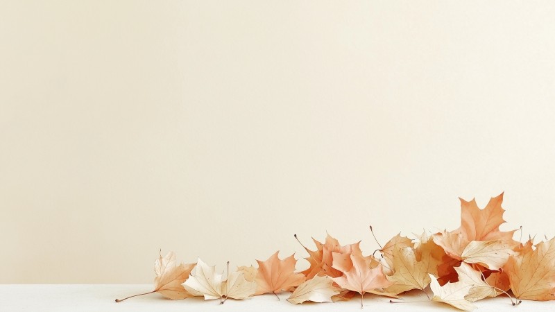 fall wallpaper, calm, orange hues, background for desktop wallpaper (horizontal)