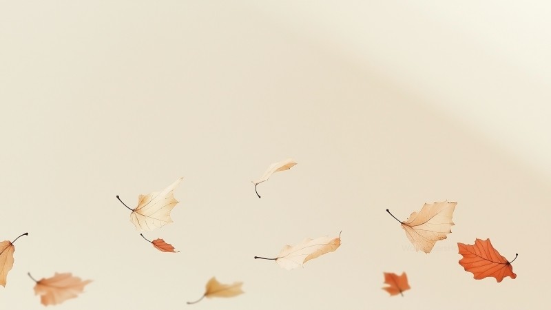 fall wallpaper, calm, orange hues, background for desktop wallpaper (horizontal)