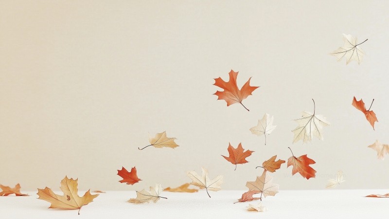 fall wallpaper, cozy, peaceful, background for desktop wallpaper (horizontal)