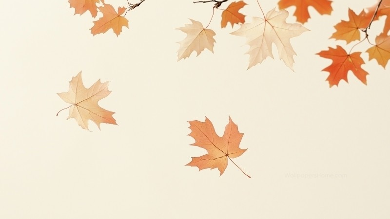 fall wallpaper, calm, rustic, background for desktop wallpaper (horizontal)