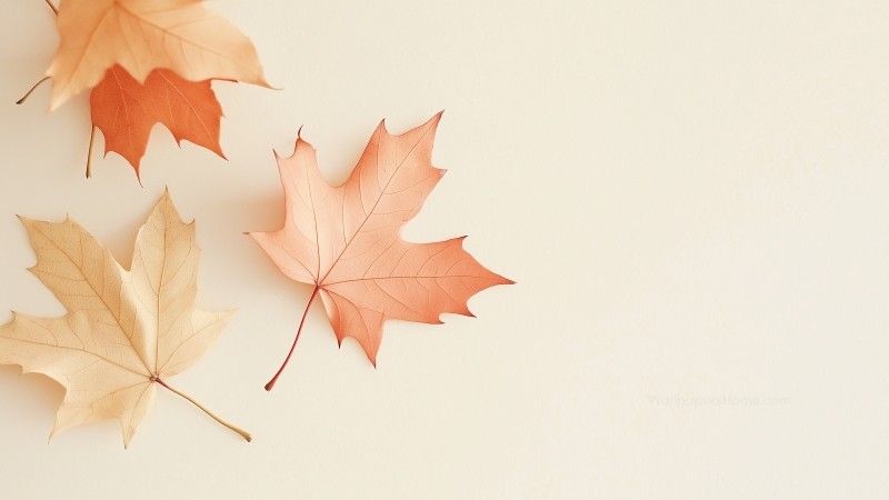 fall wallpaper, cozy, orange hues, background for desktop wallpaper (horizontal)