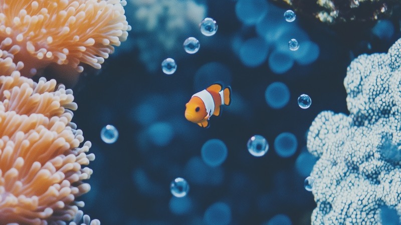 tropical fish wallpaper, reef ecosystem, colorful fish, background for desktop wallpaper (horizontal)