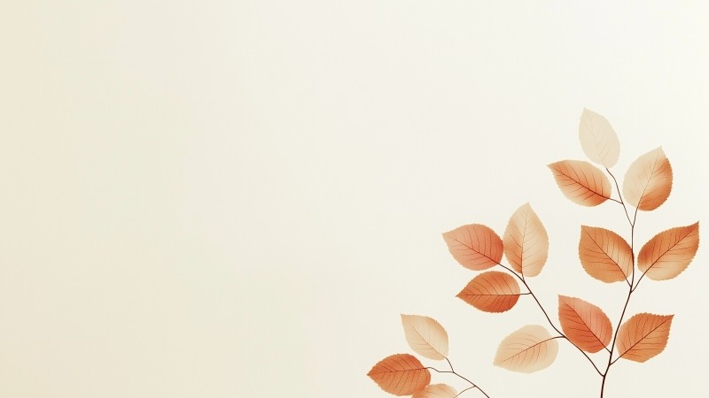 leaf wallpaper, minimal, foliage, background for desktop wallpaper (horizontal)
