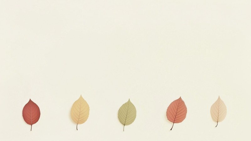 leaf wallpaper, autumn, foliage, background for desktop wallpaper (horizontal)