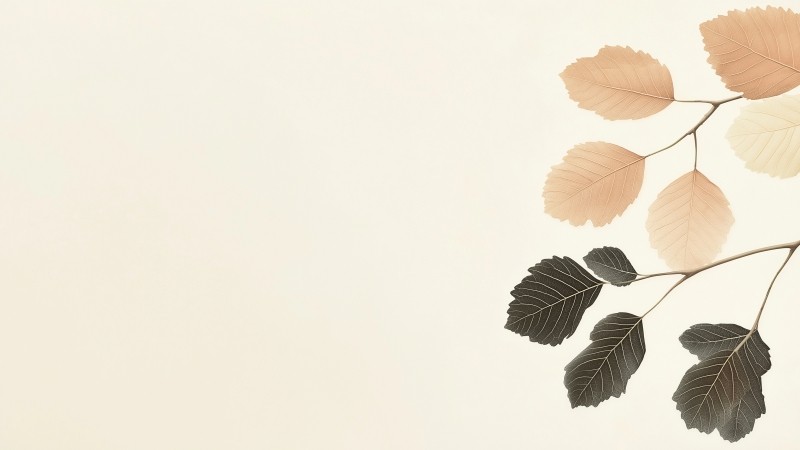 leaf wallpaper, minimal, nature, background for desktop wallpaper (horizontal)