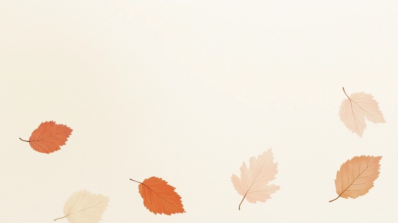 leaf wallpaper, autumn, foliage, background for desktop wallpaper (horizontal)