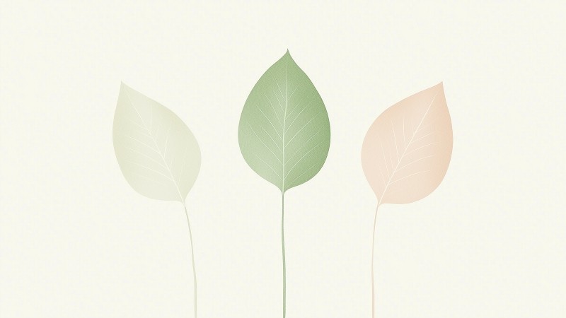 leaves wallpaper, minimal, foliage, background for desktop wallpaper (horizontal)