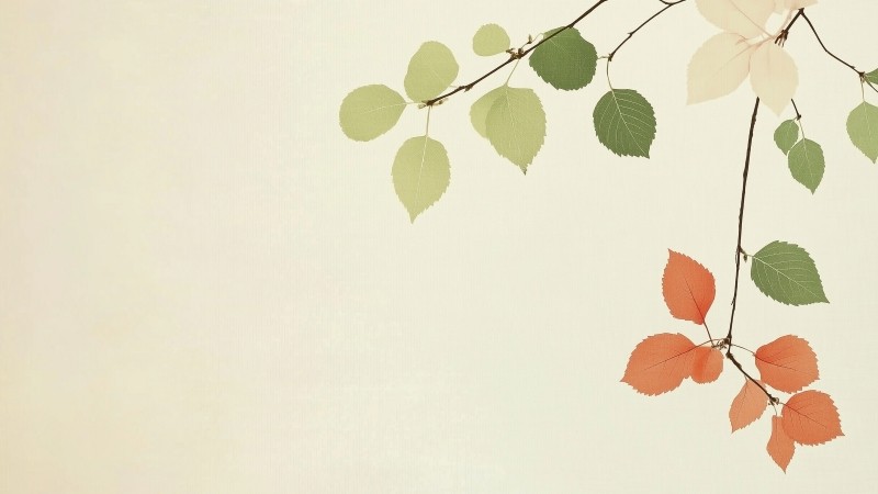 leaf wallpaper, autumn, foliage, background for desktop wallpaper (horizontal)