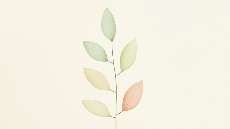 leaves wallpaper, autumn, foliage, background for desktop wallpaper (horizontal)