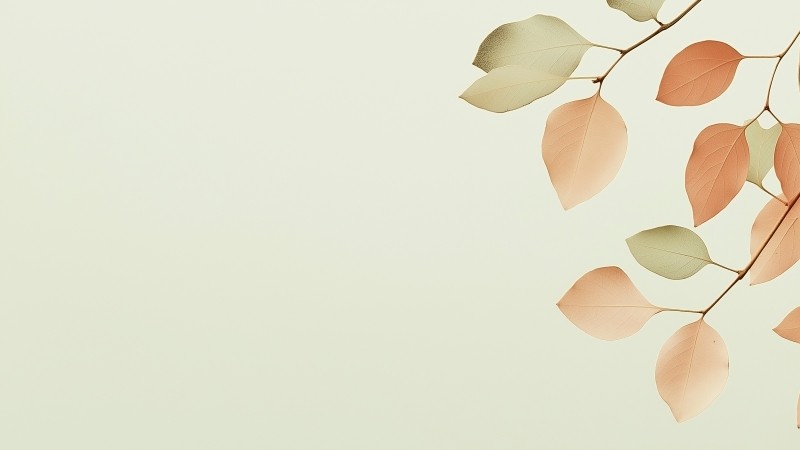leaves wallpaper, minimal, foliage, background for desktop wallpaper (horizontal)