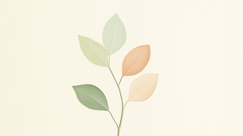 leaves wallpaper, fall, foliage, background for desktop wallpaper (horizontal)