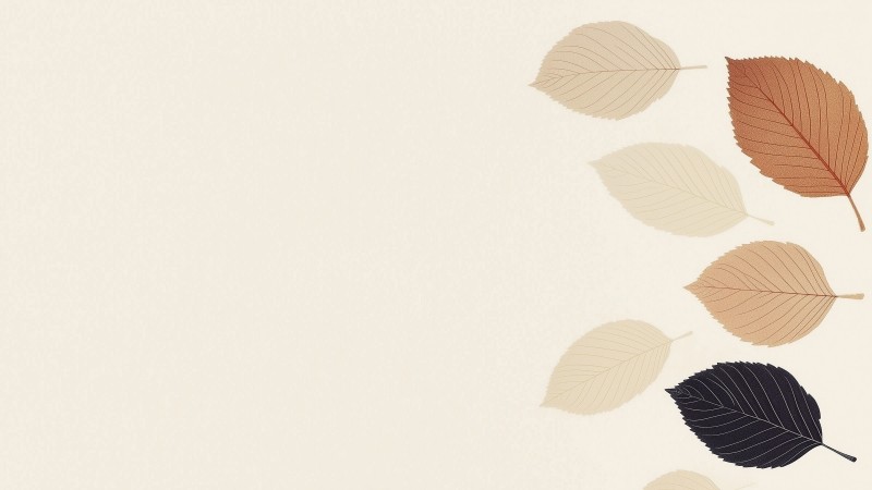 leaves wallpaper, minimal, foliage, background for desktop wallpaper (horizontal)