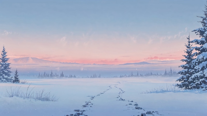 snow wallpaper, tree, evergreen, background for desktop wallpaper (horizontal)