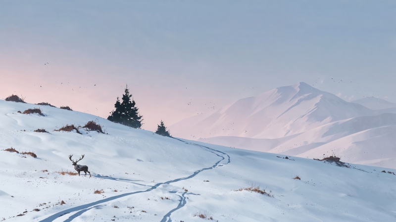 xmas wallpaper, landscape, serene landscape, background for desktop wallpaper (horizontal)