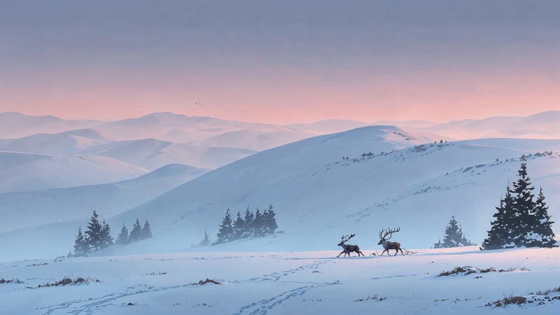 xmas wallpaper, landscape, winter wonderland, background for desktop wallpaper (horizontal)