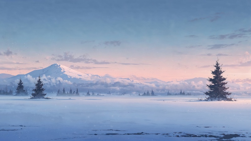 xmas wallpaper, landscape, pine tree, background for desktop wallpaper (horizontal)