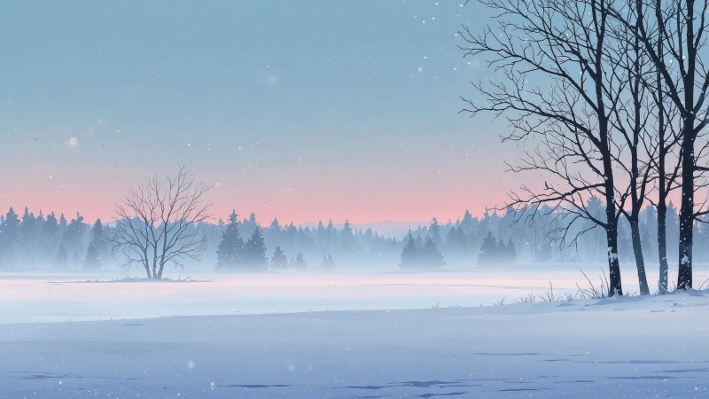 christmas wallpaper wallpaper, winter wonderland, holiday decorations, background for desktop wallpaper (horizontal)