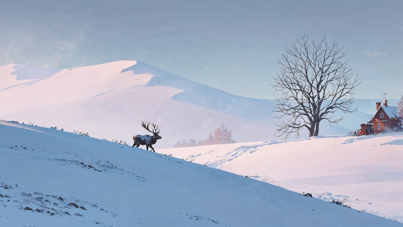 christmas wallpaper wallpaper, winter wonderland, sledding, background for desktop wallpaper (horizontal)