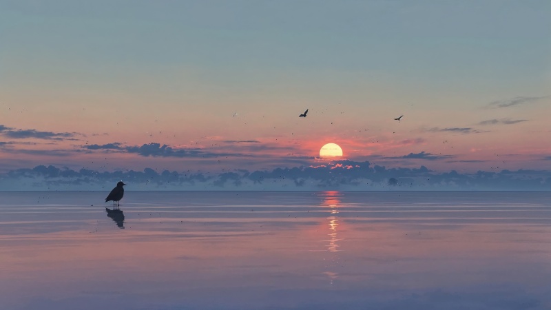 ocean wallpaper, sunset hour, sunset beach, background for desktop wallpaper (horizontal)