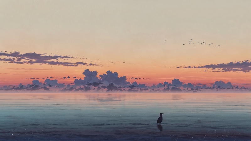 beach sunset wallpaper, sunset hour, evening sky, background for desktop wallpaper (horizontal)