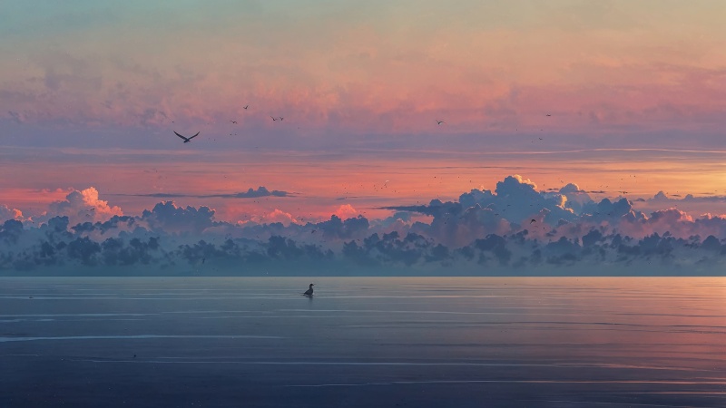 beach sunset wallpaper, sunset hour, horizon view, background for desktop wallpaper (horizontal)