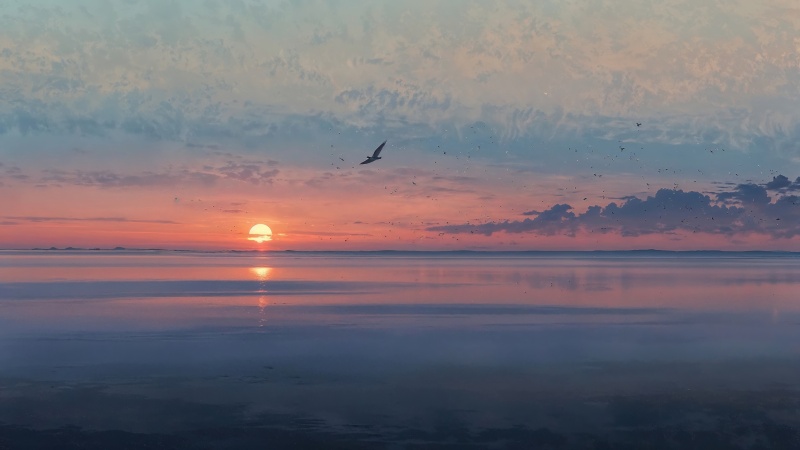 beach sunset wallpaper, sunset hour, evening sky, background for desktop wallpaper (horizontal)