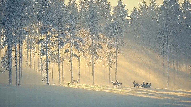 christmas reindeers wallpaper, snowy, cozy cabin, background for desktop wallpaper (horizontal)