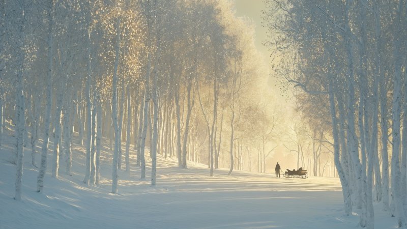 christmas magic wallpaper, festive decor, winter scenes, background for desktop wallpaper (horizontal)