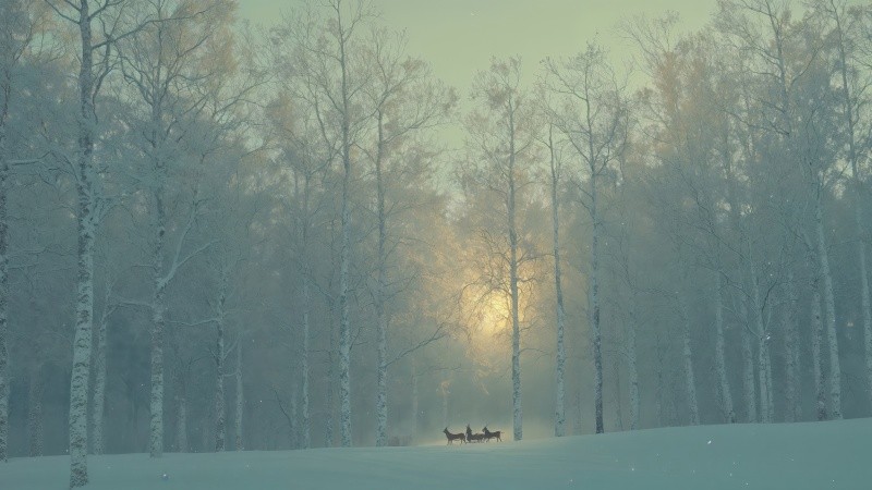 holiday decorations wallpaper, festive lights, seasonal decorations, background for desktop wallpaper (horizontal)