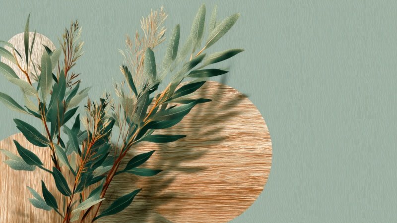 botanical design wallpaper, green leaves, sustainable design, background for desktop wallpaper (horizontal)