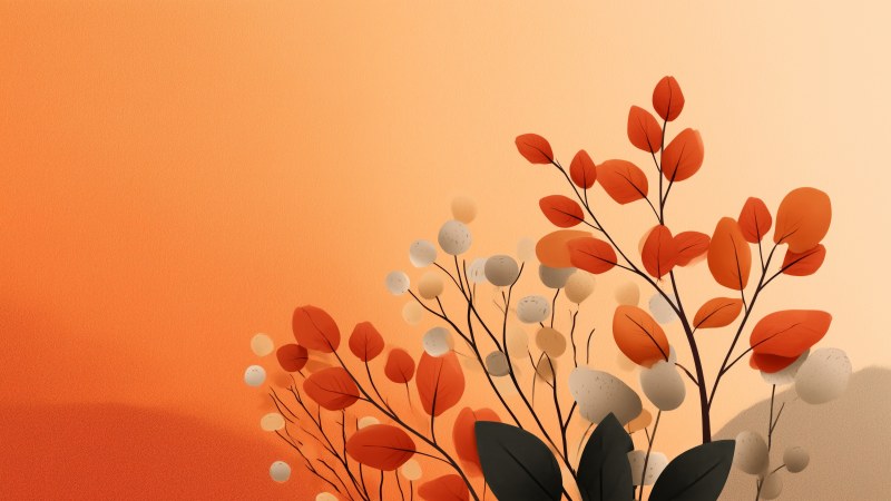 seasonal colors wallpaper, leaf peeping, seasonal change, background for desktop wallpaper (horizontal)