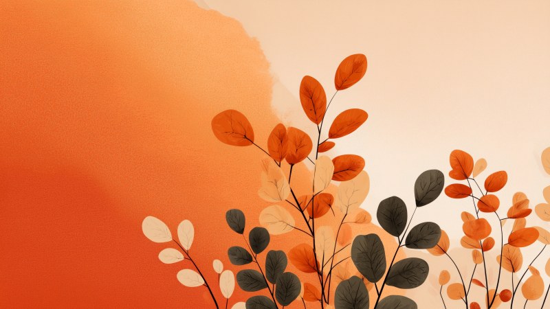 fall colors wallpaper, leaf peeping, forest trails, background for desktop wallpaper (horizontal)