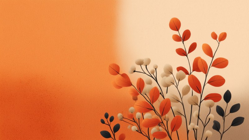 seasonal colors wallpaper, fall scenery, forest walks, background for desktop wallpaper (horizontal)