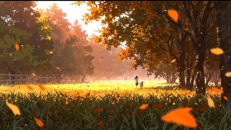 cozy fall wallpaper wallpaper, pumpkin patch, autumn scenery, background for desktop wallpaper (horizontal)