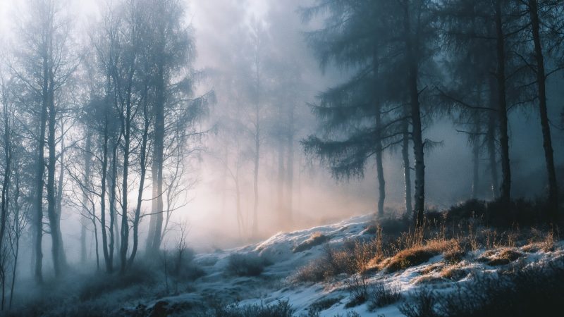 chill wallpaper, cold winter, haze, background for desktop wallpaper (horizontal)